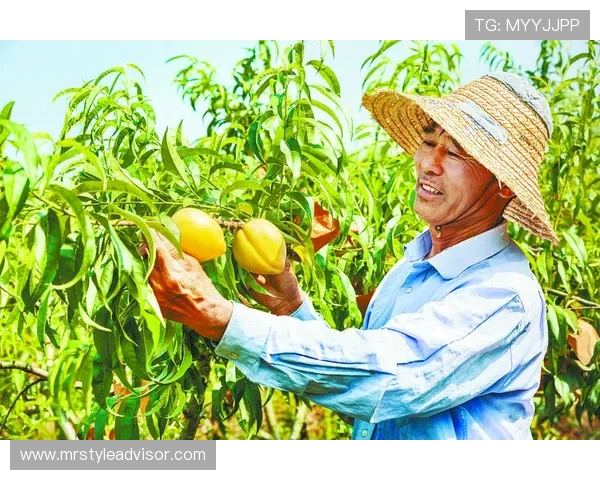 辽宁本钢加快绿色转型步伐推动高质量发展打造钢铁产业新引擎