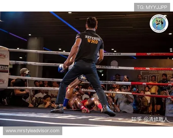 即时体育比分解析与精彩赛事回顾 让你不错过每一场关键对决