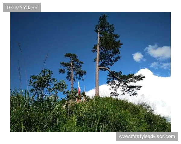 哈德森的魅力探秘：从历史到现代的文化之旅与自然风光的完美结合